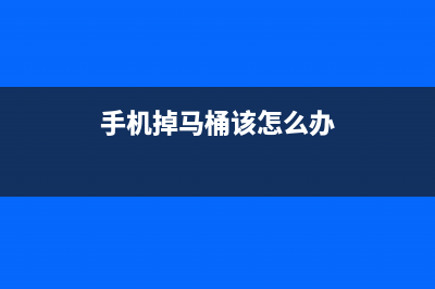 手机掉马桶你捡还是不捡？大部分人是这么做的 (手机掉马桶该怎么办)