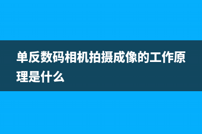 单反数码相机拍摄鸟类技巧有哪些？ (单反数码相机拍摄成像的工作原理是什么)