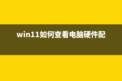 Win11如何查看IP地址？Win11查看IP地址的方法 (win11如何查看电脑硬件配置)