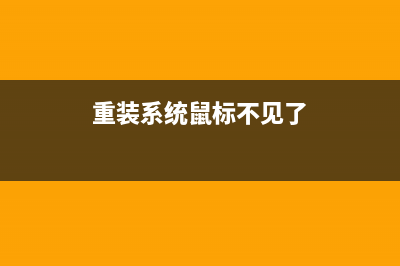 重装系统鼠标不管用了 (重装系统鼠标不见了)