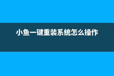 小鱼重装系统步骤 (小鱼一键重装系统怎么操作)