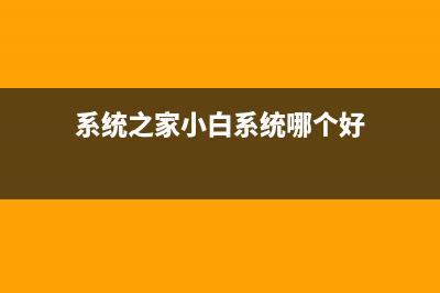 小白系统和家电维修论坛对比 (系统之家小白系统哪个好)