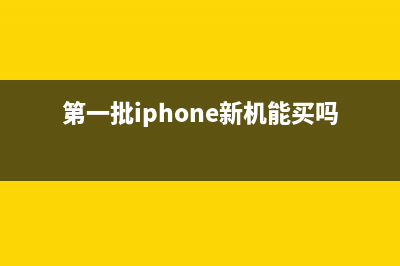 新iPhone首次支持双卡双待：XR/XS Max可装两张SIM卡 (第一批iphone新机能买吗)