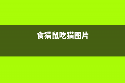 使用电脑引起的肩膀酸痛及缓解办法 (使用电脑时遇到的问题与解决)