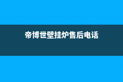 帝博世壁挂炉代码如何维修 (帝博世壁挂炉售后电话)