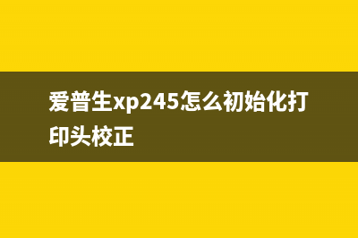 爱普生XP245怎么清零？(爱普生xp245怎么初始化打印头校正)