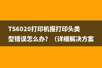 TS6020打印机报打印头类型错误怎么办？（详细解决方案）