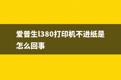 如何解决爱普生打印机删除文件无法删除的问题(如何解决爱普生L805墨水打空了)