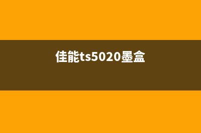 佳能TS5020墨水收集器使用方法详解(佳能ts5020墨盒)