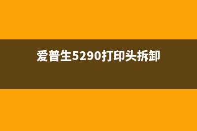 爱普生5290打印机的排墨充墨软件使用指南(爱普生5290打印头拆卸)