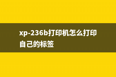 xp442清零软件（快速清除XP系统垃圾文件）(xp960清零软件)
