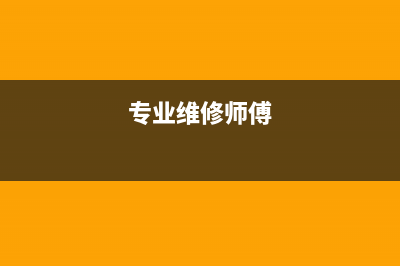 维修师傅维修洗衣机(专业维修师傅)
