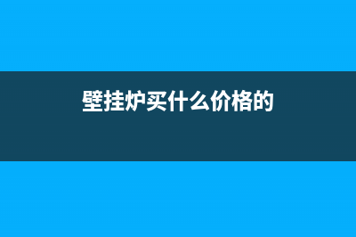 选购挂壁炉必看要点:从性能到售后全解析(壁挂炉买什么价格的)
