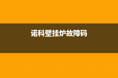 里诺壁挂炉故障分析(里诺壁挂炉是合资品牌吗)(诺科壁挂炉故障码)
