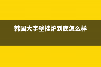 韩国大宇壁挂炉e1故障(大宇壁挂炉e1是什么意思)(韩国大宇壁挂炉到底怎么样)