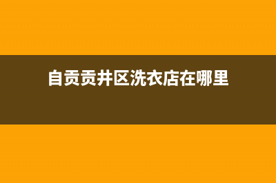 自贡贡井区洗衣机维修(自贡贡井区洗衣店在哪里)