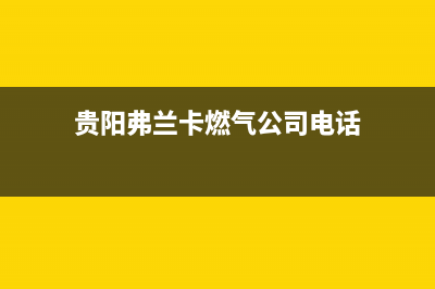 贵阳弗兰卡燃气灶维修(贵阳弗兰卡燃气公司电话)