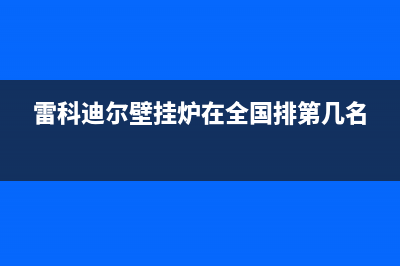 雷科迪尔壁挂炉系统故障p9(keston壁挂炉e08)(雷科迪尔壁挂炉在全国排第几名)
