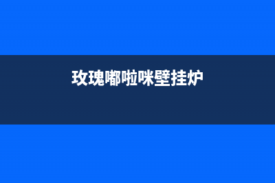 玫瑰嘟啦咪壁挂炉故障英文(玫嘟啦咪壁挂炉显示01)(玫瑰嘟啦咪壁挂炉)