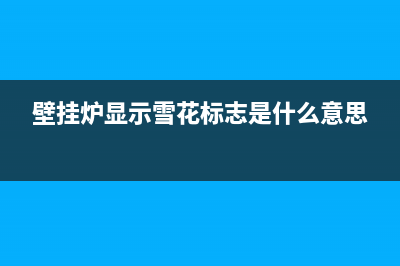 雪地壁挂炉故障(雪地壁挂炉故障代码表)(壁挂炉显示雪花标志是什么意思)