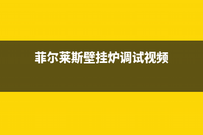 莱菲特壁挂炉缺水故障(卡菲特壁挂炉缺水保护)(菲尔莱斯壁挂炉调试视频)