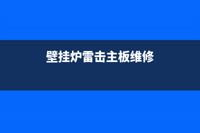 雷力士壁挂炉故障代码e1(雷力士锅炉价格)(壁挂炉雷击主板维修)