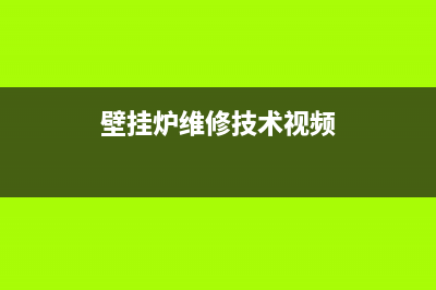 维修壁挂炉怎样注册公司(壁挂炉维修技术视频)