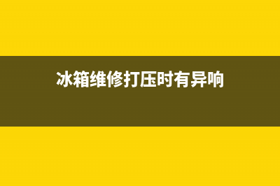 冰箱维修打压时掉1个压(冰箱维修打压时有异响)