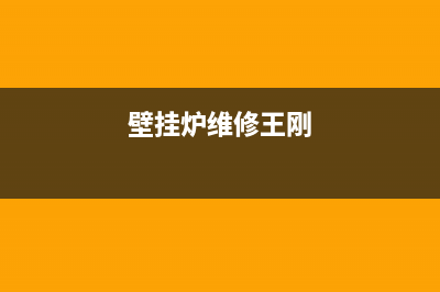 壁挂炉维修王刚