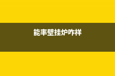 能率采暖壁挂炉维修(能率壁挂炉咋样)