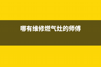 哪有维修燃气灶公司(附近维修燃气灶上门维修电话)(哪有维修燃气灶的师傅)
