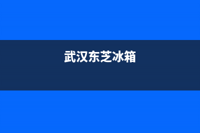 鄂州东芝冰箱售后维修电话(武汉东芝冰箱)