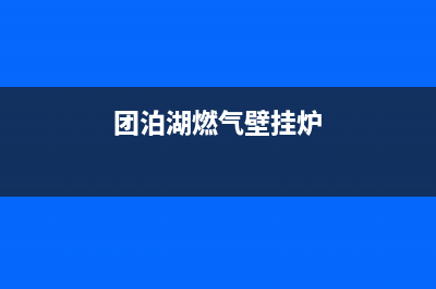团结东路壁挂炉维修电话(团泊湖燃气壁挂炉)