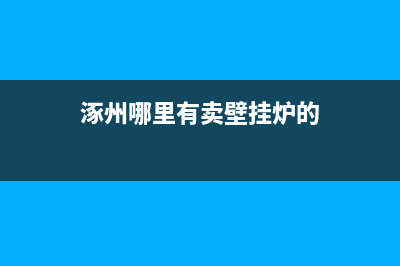涿州孙庄壁挂炉维修店(涿州哪里有卖壁挂炉的)
