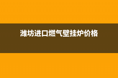 潍坊进口燃气壁挂炉维修(潍坊进口燃气壁挂炉价格)