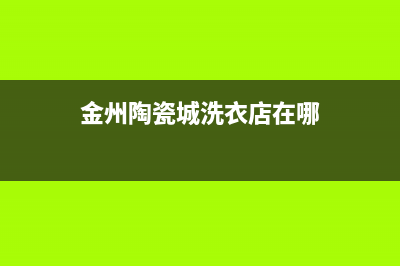 金州陶瓷城洗衣机维修(金州陶瓷城洗衣店在哪)