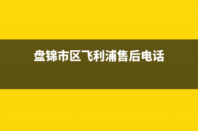 盘锦市区飞利浦(PHILIPS)壁挂炉售后电话多少(盘锦市区飞利浦售后电话)