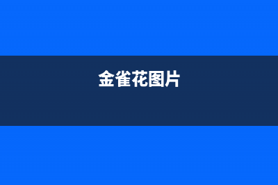 金雀花(PLANTAGENET)油烟机客服电话2023已更新(网点/电话)(金雀花图片)