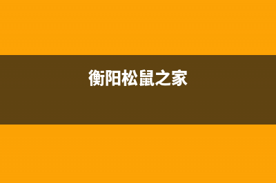 衡阳市区小松鼠(squirrel)壁挂炉售后服务维修电话(衡阳松鼠之家)