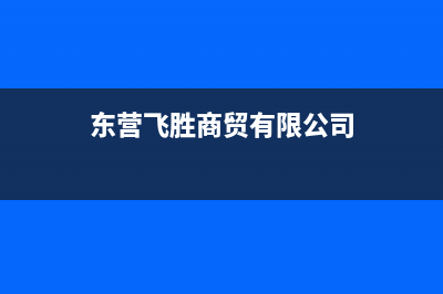 东营市区新飞(Frestec)壁挂炉维修24h在线客服报修(东营飞胜商贸有限公司)