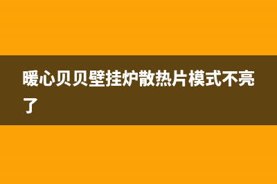 暖心贝贝壁挂炉e1故障(暖心贝贝壁挂炉散热片模式不亮了)