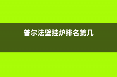 普尔法天然气壁挂炉e2故障(普尔法壁挂炉排名第几)