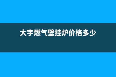 大宇燃气壁挂炉e1故障(大宇燃气壁挂炉价格多少)