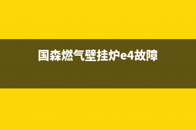 国森燃气壁挂炉ep故障(国森燃气壁挂炉e4故障)