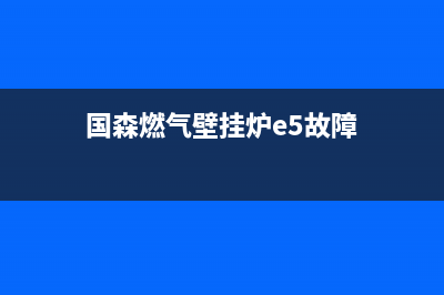 国森燃气壁挂炉故障代码E5(国森燃气壁挂炉e5故障)