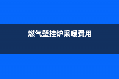 燃气壁挂炉采暖炉故障代码E2是咋回事(燃气壁挂炉采暖费用)