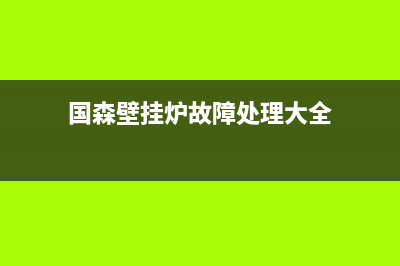 国森壁挂炉故障代码e6(国森壁挂炉故障处理大全)