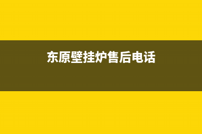 东原壁挂炉售后服务电话2023已更新服务热线(东原壁挂炉售后电话)