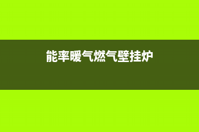 能率燃气地暖壁挂炉故障代码E13(能率暖气燃气壁挂炉)