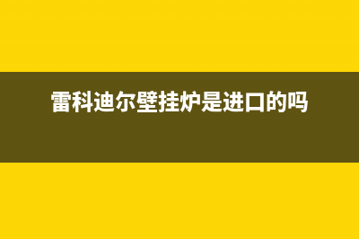 雷科迪尔壁挂炉厂家服务24小时400热线(雷科迪尔壁挂炉是进口的吗)